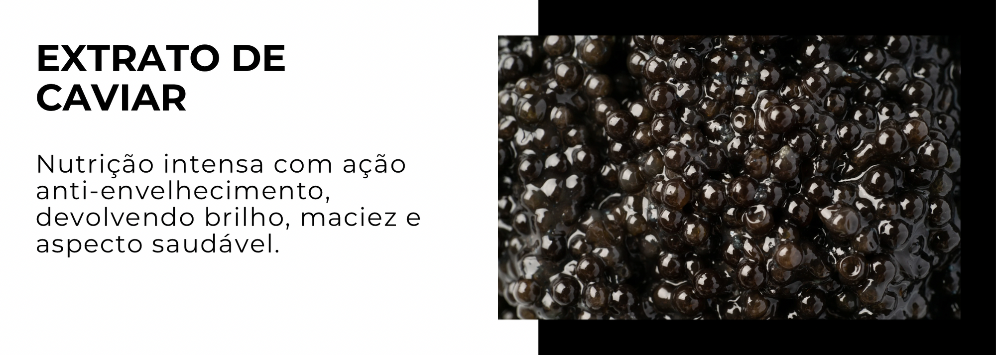 Slideshow Image 2